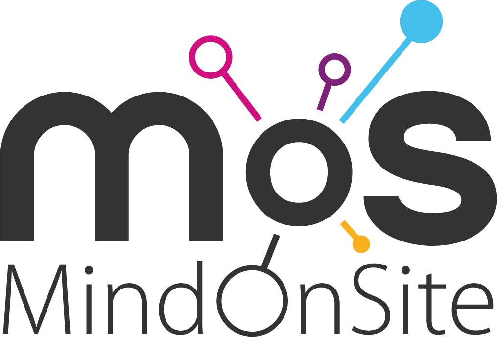 Logo Mind On Site